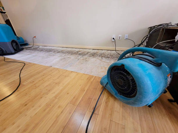 Professional Structural Drying technician working in Jackman, ME